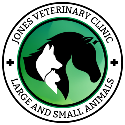 Jones Vet clinic Digital Logo