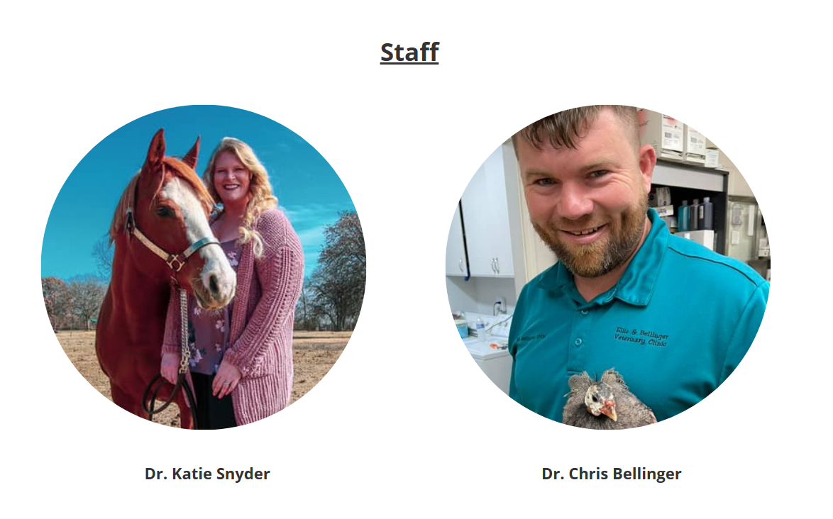 Image of Katie Snyder and Chris Bellinger on their "meet the team" website page.