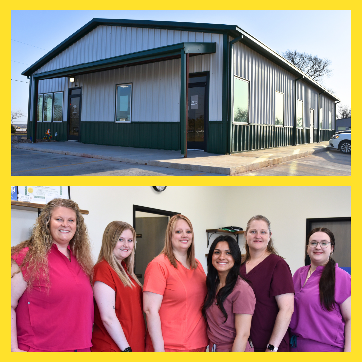 Jones Veterinary Clinic website showing on 3 different device screens: laptop, tablet, and mobile phone.